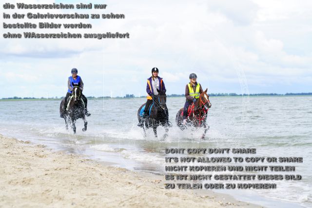 s_K3F05094.JPG